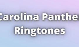Carolina Panther Ringtones Download
