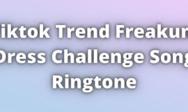 Freakum Dress Challenge Ringtone Download