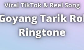 Goyang Tarik Rol Ringtone Download