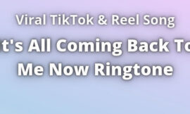 It’s All Coming Back To Me Now Ringtone Download