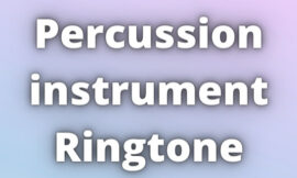 Percussion instrument Ringtone Download