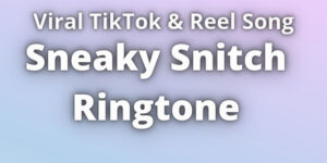Read more about the article Sneaky Snitch Ringtone Download