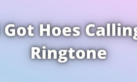 i Got Hoes Calling Ringtone Download