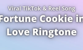 Fortune Cookie in Love Ringtone Download