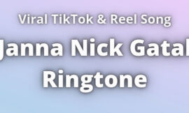 Janna Nick Gatal Ringtone Download