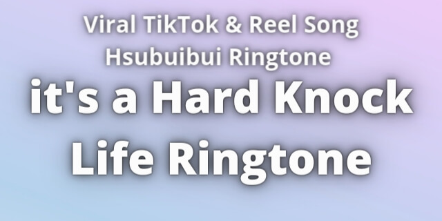 Read more about the article it’s a Hard Knock Life Ringtone Download