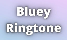 Bluey Ringtone Download