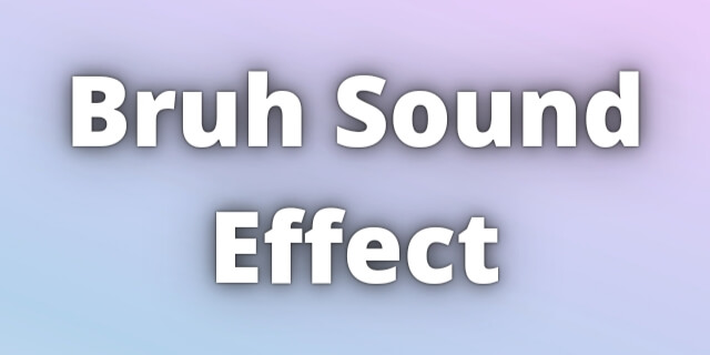 Read more about the article Bruh Sound Effect Download