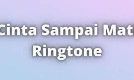 Cinta Sampai Mati Ringtone