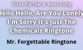 Mr Forgettable Ringtone Download
