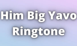 Him Big Yavo Ringtone Download