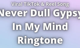 Never Dull Gypsy In My Mind Ringtone Download