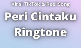 Peri Cintaku Ringtone Download