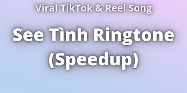 Read more about the article See Tình Ringtone Download