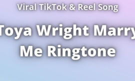 Toya Wright Marry Me Ringtone Download