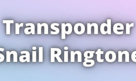 Transponder Snail Ringtone Download