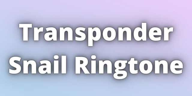 You are currently viewing Transponder Snail Ringtone Download