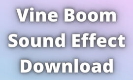Vine Boom Sound Effect Download