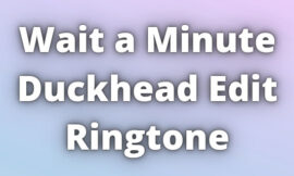 Wait a Minute Duckhead Edit Ringtone Download