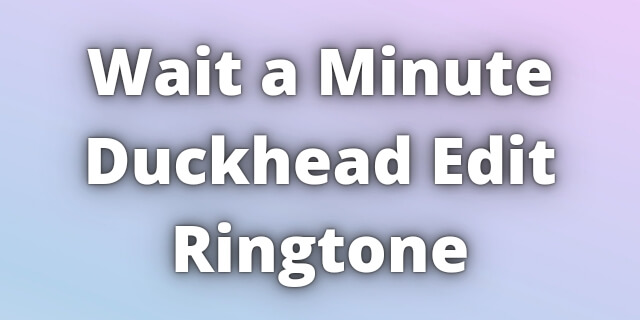 You are currently viewing Wait a Minute Duckhead Edit Ringtone Download