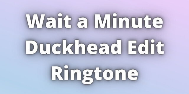 You are currently viewing Wait a Minute Duckhead Edit Ringtone Download