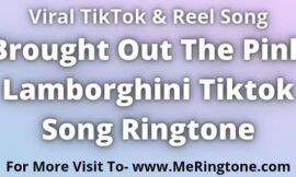 Brought Out The Pink Lamborghini Tiktok Song Ringtone Download