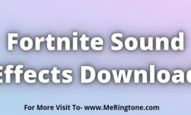 Fortnite Sound Effects Download