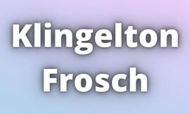 Klingelton Frosch Download