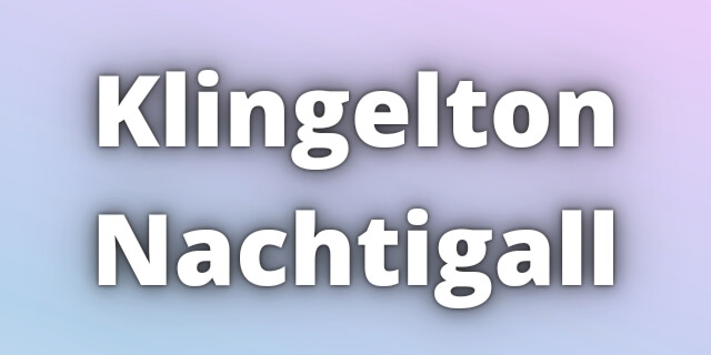You are currently viewing Klingelton Nachtigall Download