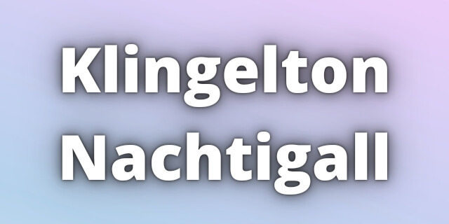 You are currently viewing Klingelton Nachtigall Download