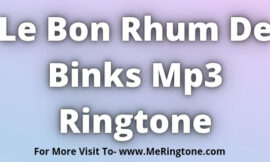 Le Bon Rhum De Binks Mp3 Ringtone Download