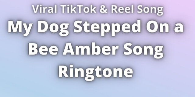 Read more about the article My Dog Stepped on a Bee Amber Song Ringtone