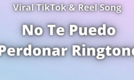 No Te Puedo Perdonar Ringtone Download