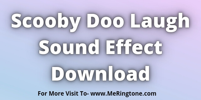 Read more about the article Scooby Doo Laugh Sound Effect Download