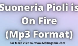Suoneria Pioli is On Fire Download