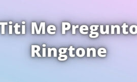 Titi Me Pregunto Ringtone Download