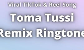 Toma Tussi Remix Ringtone Download