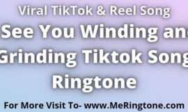 i See You Winding and Grinding Tiktok Song Ringtone Download