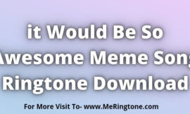 it Would Be So Awesome Meme Song Ringtone