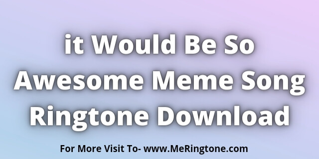 You are currently viewing it Would Be So Awesome Meme Song Ringtone
