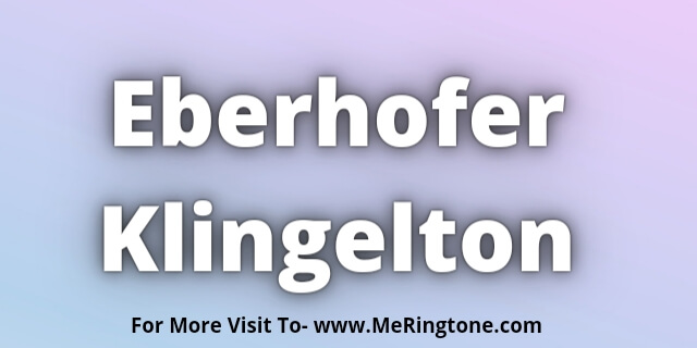 Read more about the article Eberhofer Klingelton Download