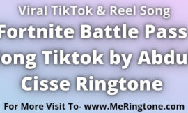 Fortnite Battle Pass Song Tiktok by Abdul Cisse Ringtone