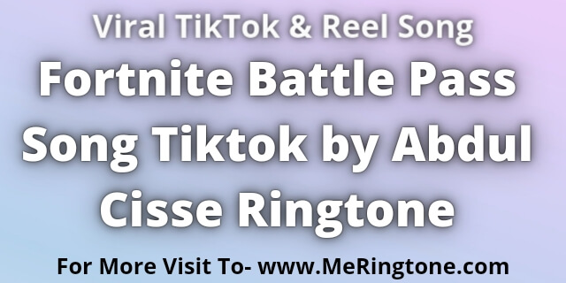 Read more about the article Fortnite Battle Pass Song Tiktok by Abdul Cisse Ringtone