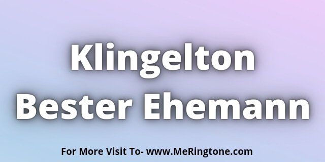 You are currently viewing Klingelton Bester Ehemann Download