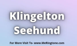Klingelton Seehund Download