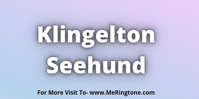 You are currently viewing Klingelton Seehund Download