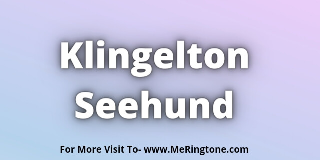 Read more about the article Klingelton Seehund Download