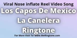 Read more about the article Los Capos De Mexico La Canelera Ringtone Download