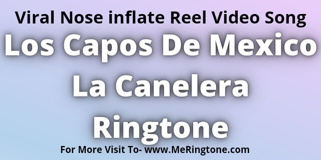 You are currently viewing Los Capos De Mexico La Canelera Ringtone Download