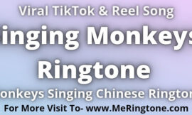 Singing Monkeys Ringtone Download